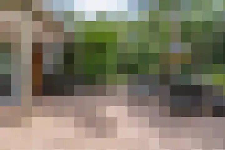 Jhr.Repelaerlaan 6 Ommen thumbnail 59