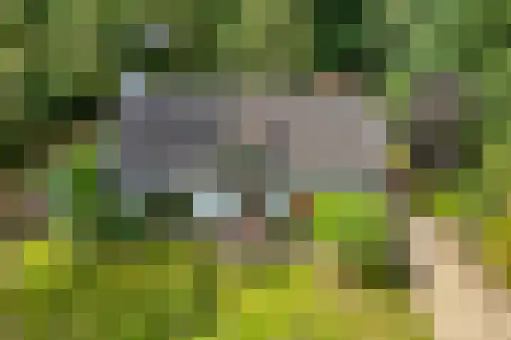 Jhr.Repelaerlaan 6 Ommen thumbnail 6