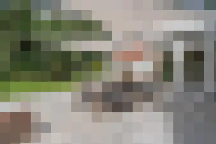 Jhr.Repelaerlaan 6 Ommen thumbnail 63