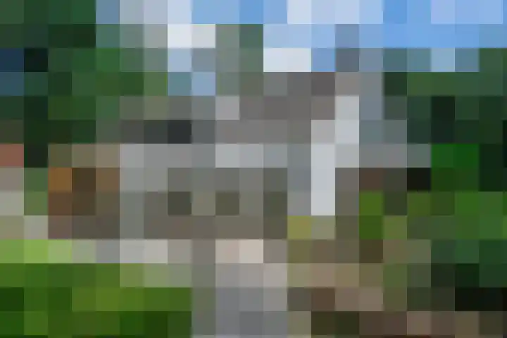 Jhr.Repelaerlaan 6 Ommen thumbnail 65