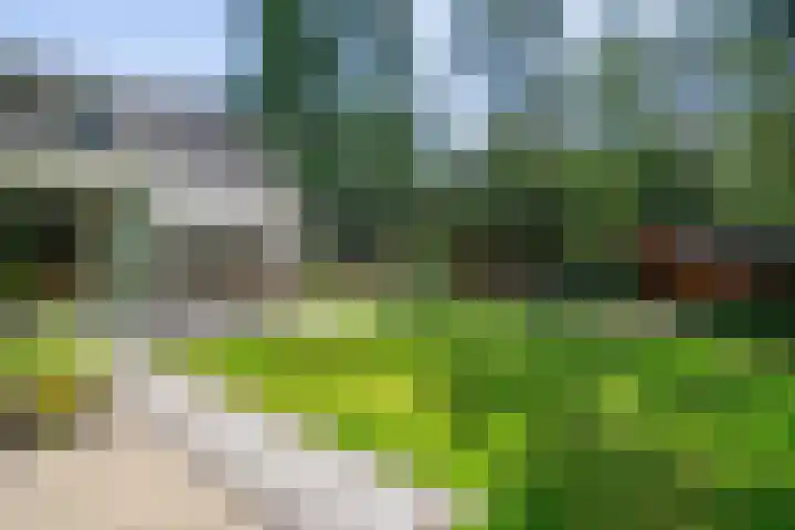 Jhr.Repelaerlaan 6 Ommen thumbnail 67