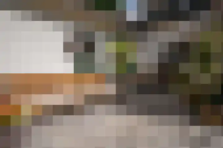 Jhr.Repelaerlaan 6 Ommen thumbnail 68