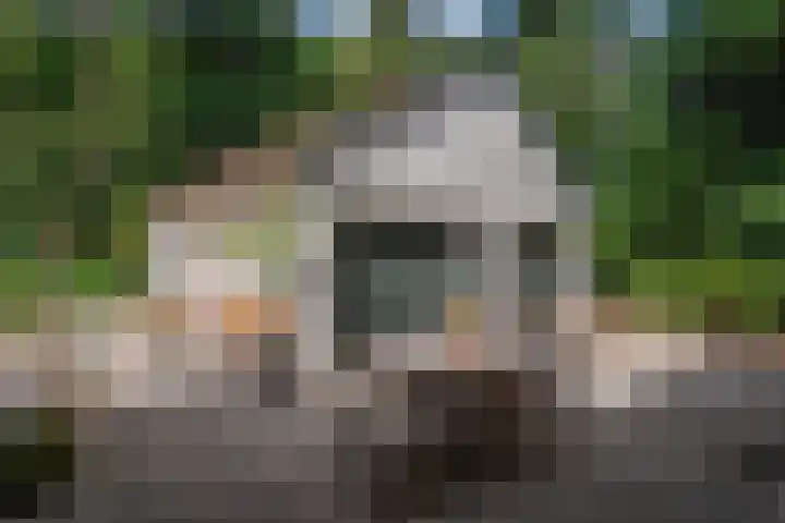Jhr.Repelaerlaan 6 Ommen thumbnail 69
