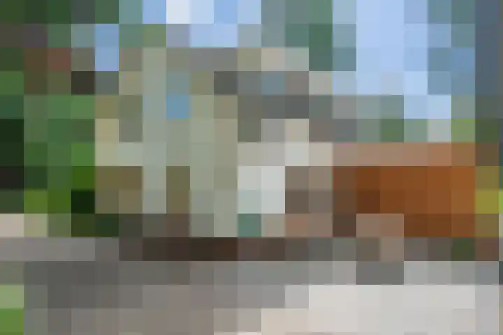 Jhr.Repelaerlaan 6 Ommen thumbnail 70