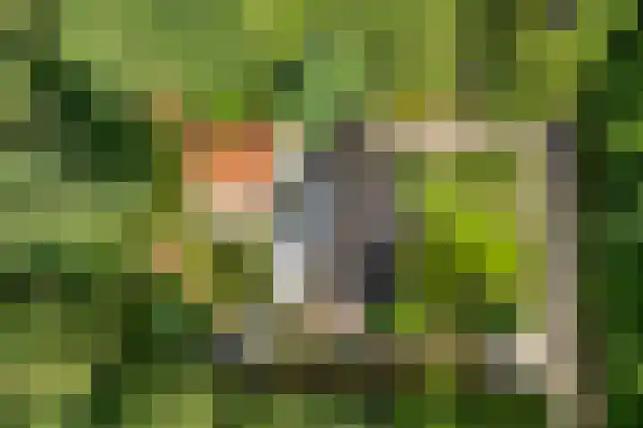 Jhr.Repelaerlaan 6 Ommen thumbnail 71