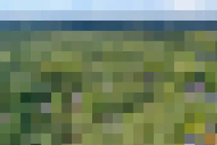 Jhr.Repelaerlaan 6 Ommen thumbnail 72