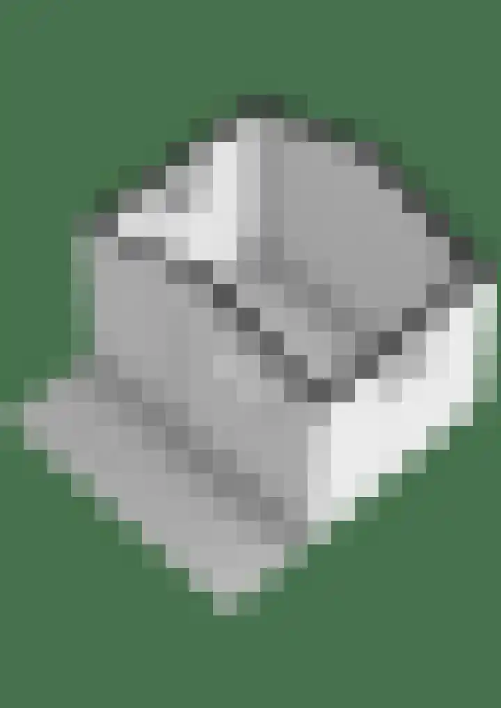 Jhr.Repelaerlaan 6 Ommen thumbnail 82