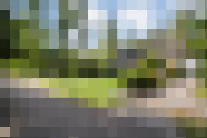 Jhr.Repelaerlaan 6 Ommen thumbnail 9