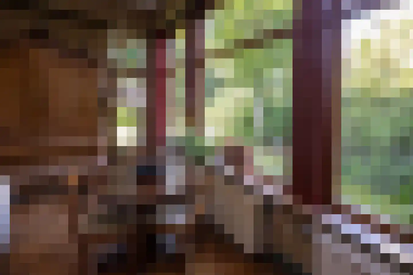Jhr Strick van Linschotenlaan 3 Zwolle thumbnail 11