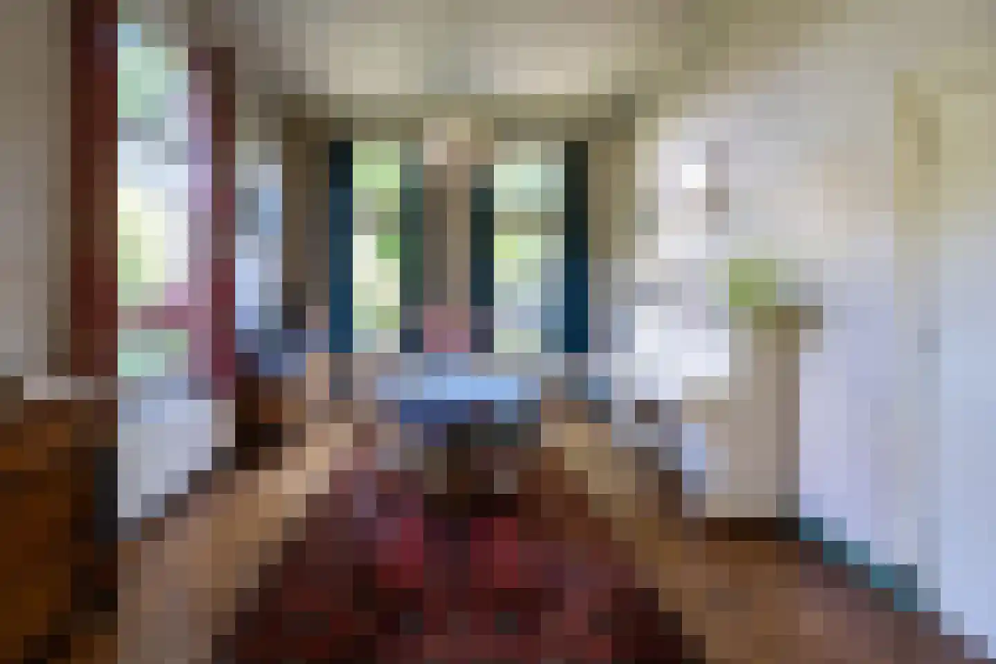 Jhr Strick van Linschotenlaan 3 Zwolle thumbnail 13