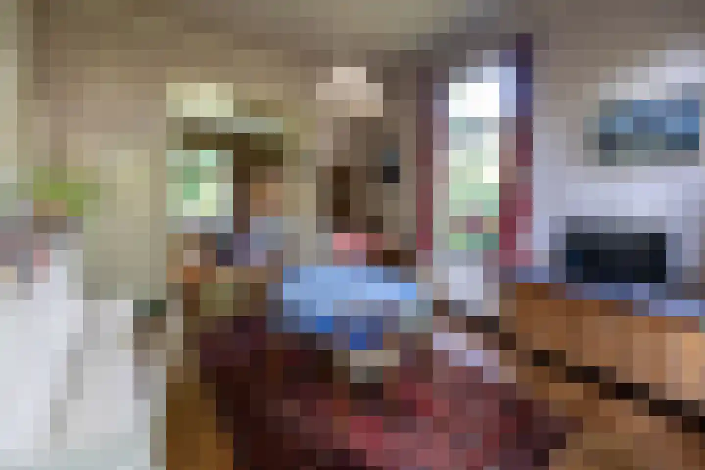 Jhr Strick van Linschotenlaan 3 Zwolle thumbnail 14