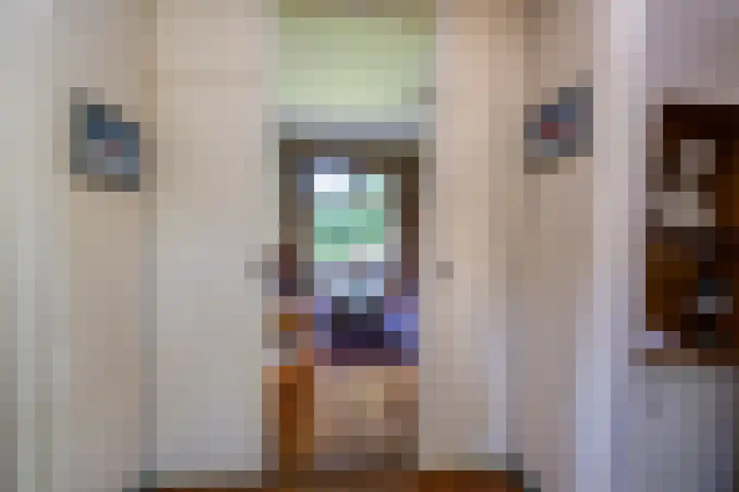 Jhr Strick van Linschotenlaan 3 Zwolle thumbnail 15