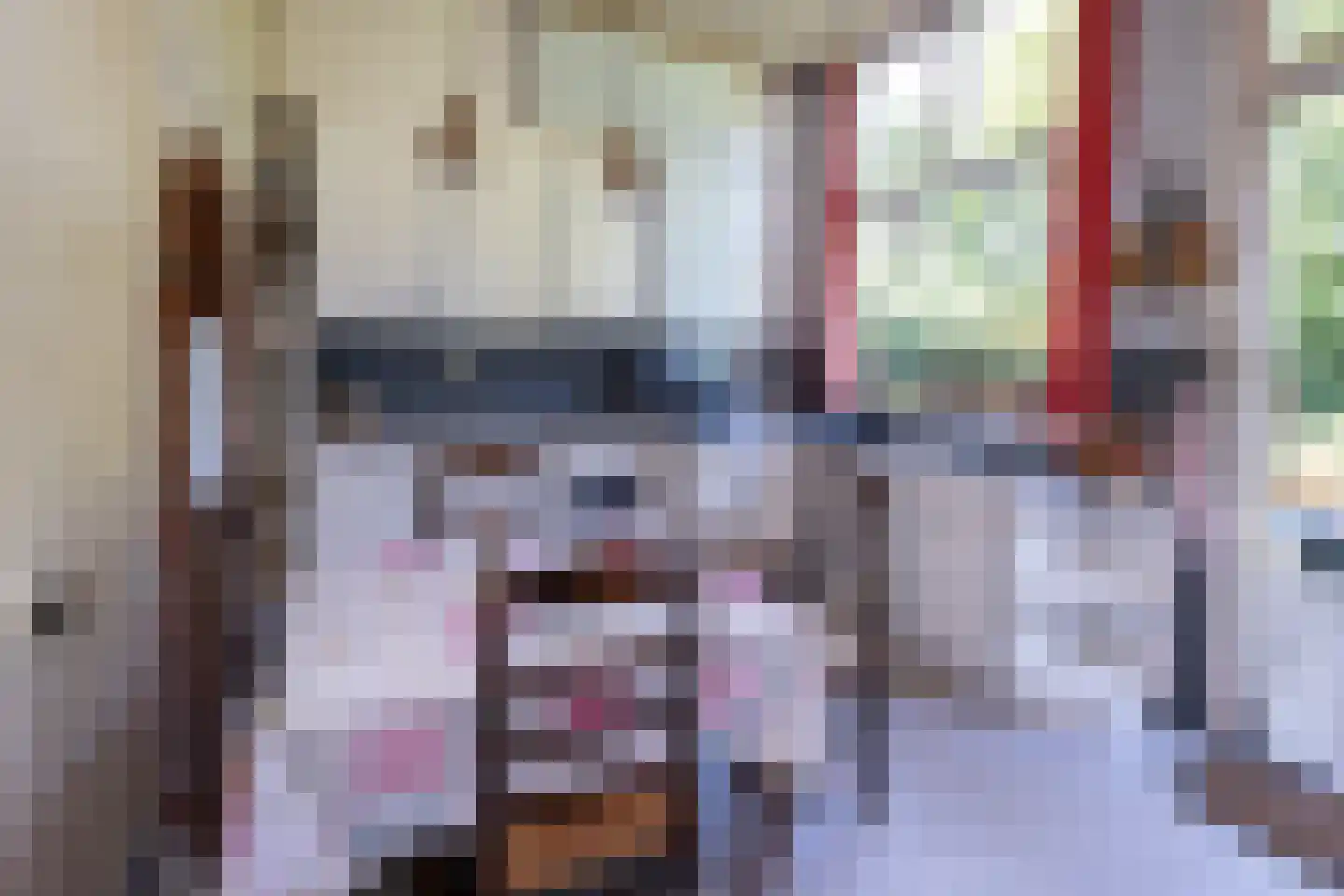 Jhr Strick van Linschotenlaan 3 Zwolle thumbnail 16