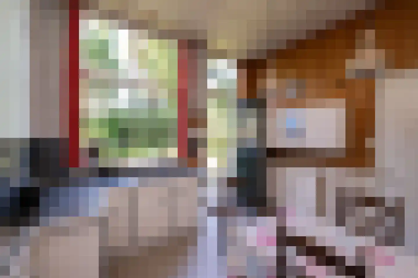 Jhr Strick van Linschotenlaan 3 Zwolle thumbnail 17
