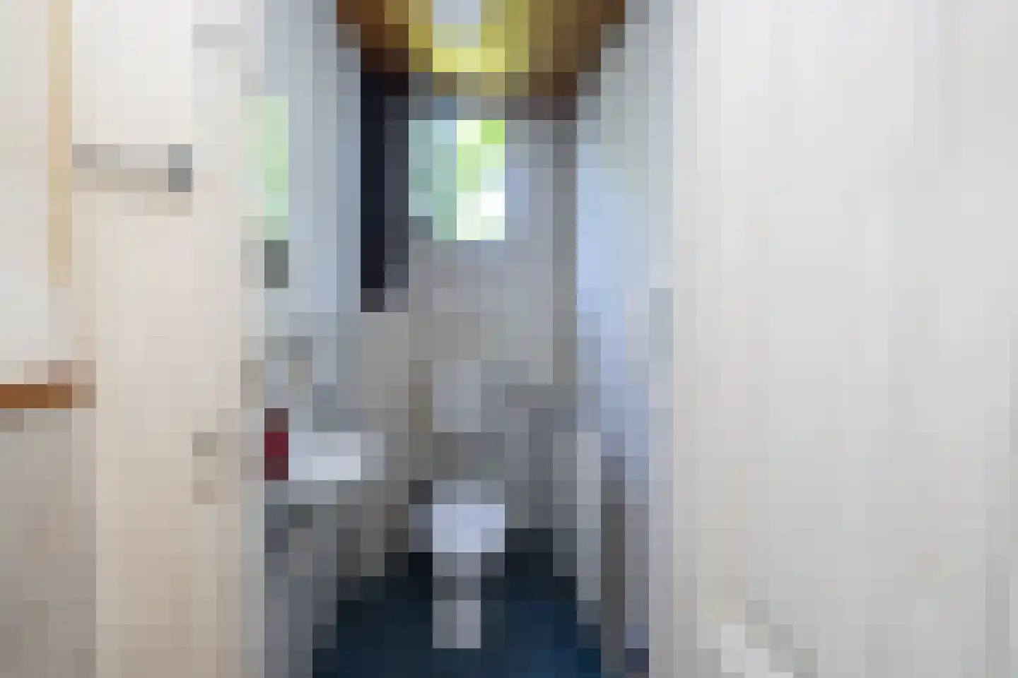Jhr Strick van Linschotenlaan 3 Zwolle thumbnail 21