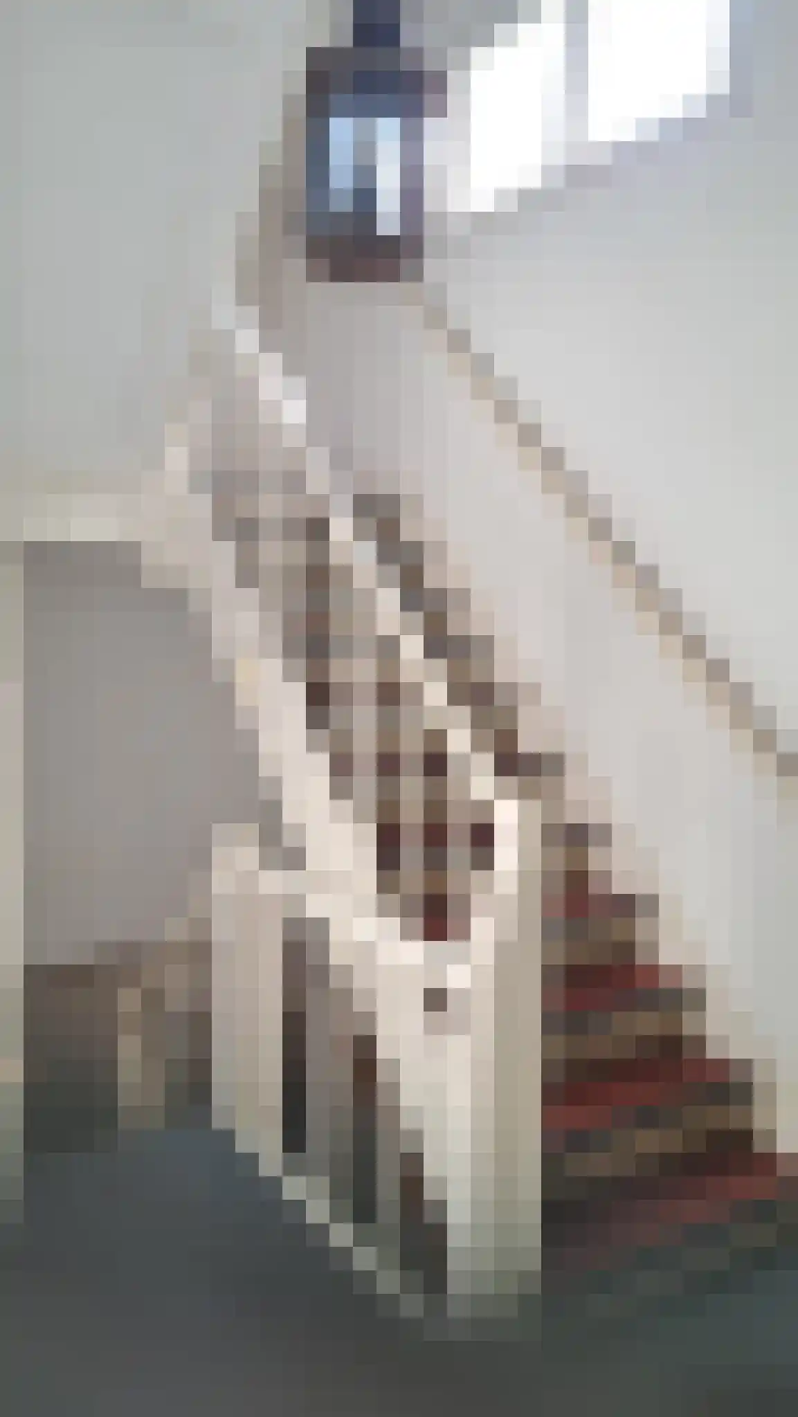 Jhr Strick van Linschotenlaan 3 Zwolle thumbnail 24