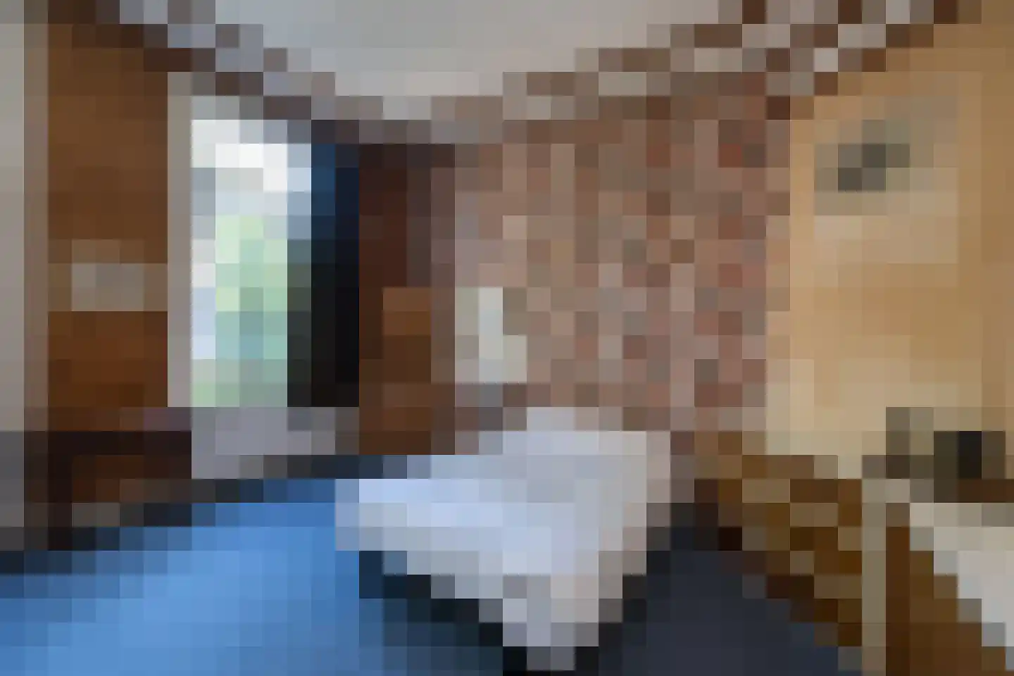 Jhr Strick van Linschotenlaan 3 Zwolle thumbnail 28