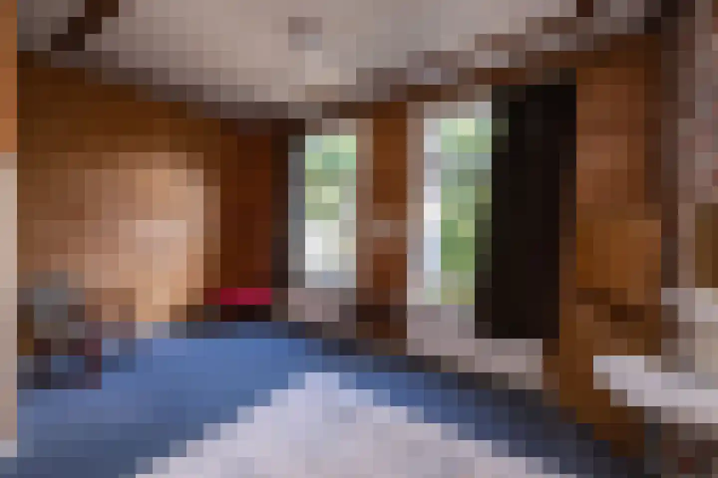 Jhr Strick van Linschotenlaan 3 Zwolle thumbnail 29