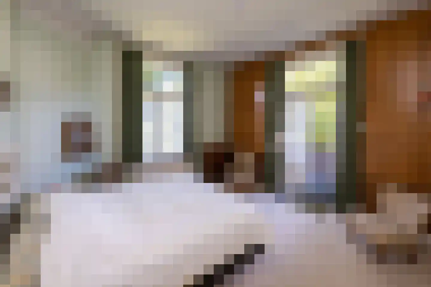 Jhr Strick van Linschotenlaan 3 Zwolle thumbnail 30