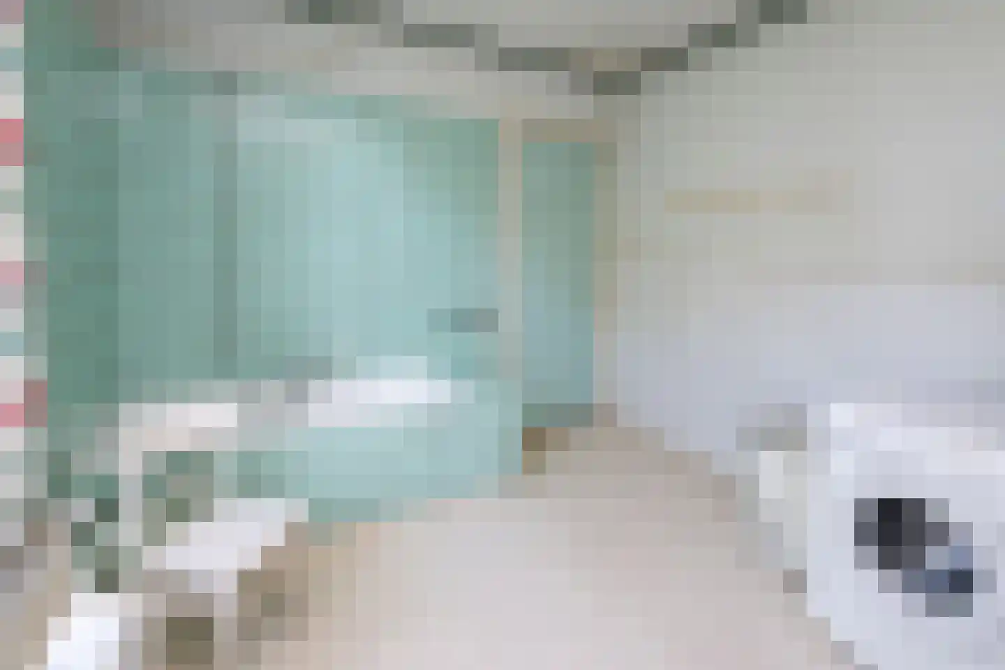 Jhr Strick van Linschotenlaan 3 Zwolle thumbnail 33
