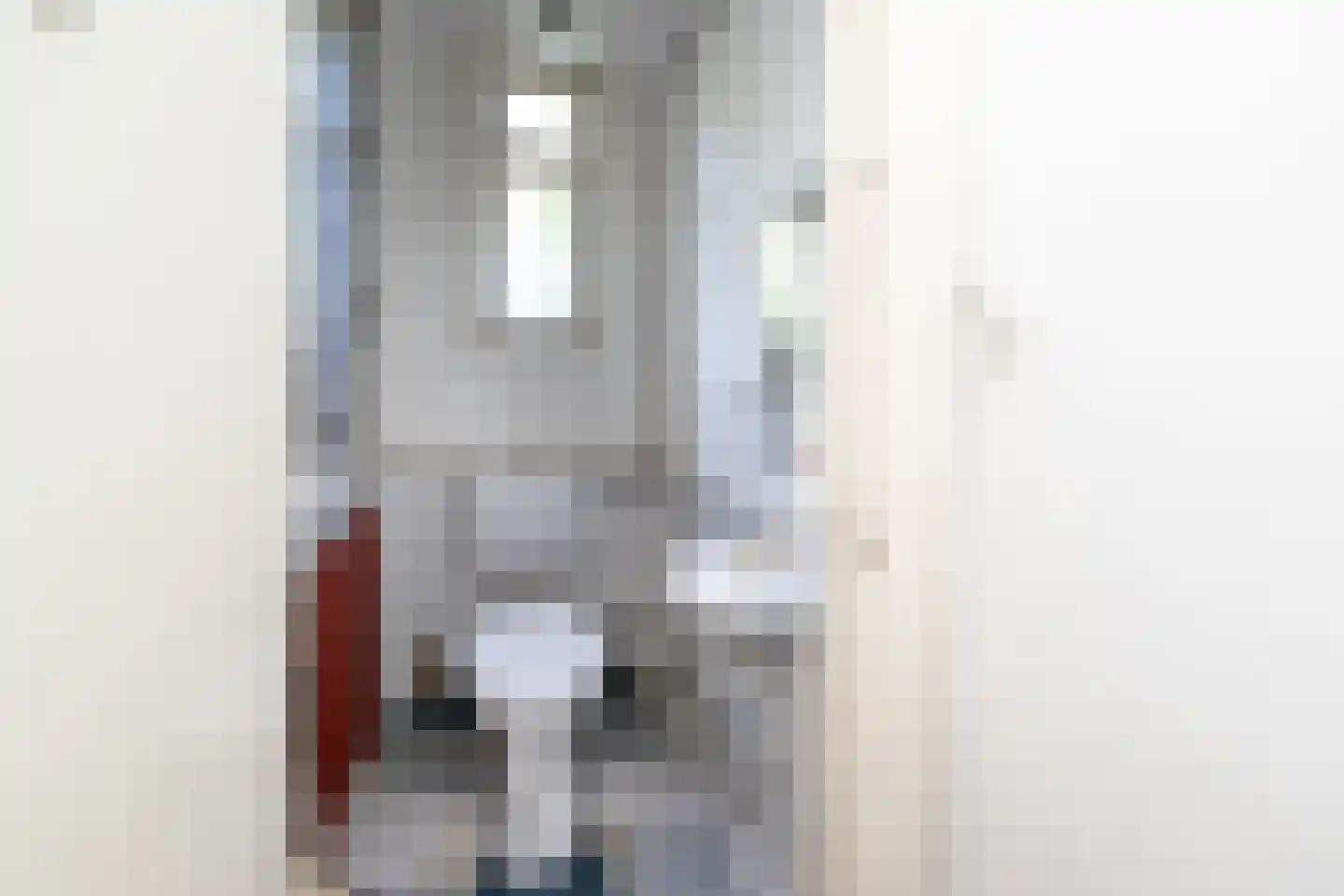 Jhr Strick van Linschotenlaan 3 Zwolle thumbnail 34