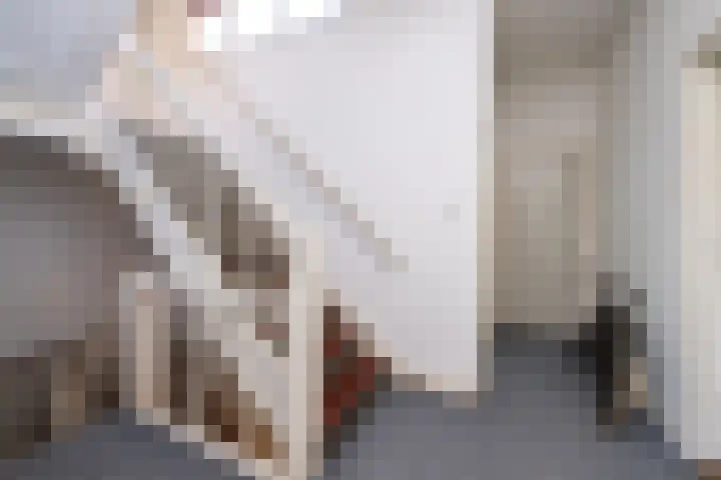 Jhr Strick van Linschotenlaan 3 Zwolle thumbnail 35