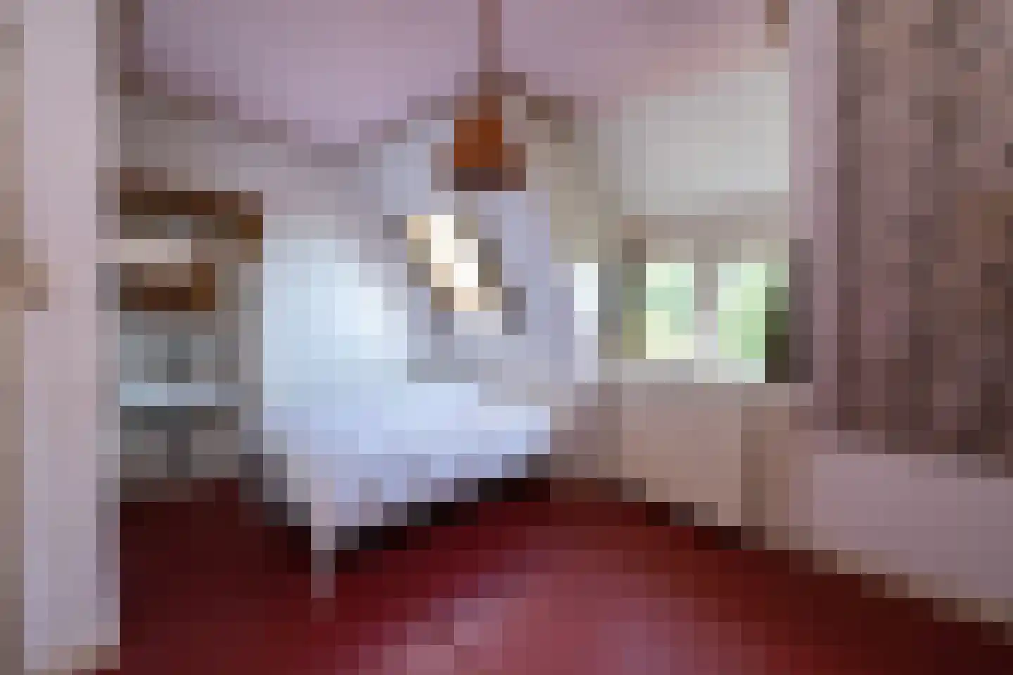 Jhr Strick van Linschotenlaan 3 Zwolle thumbnail 38