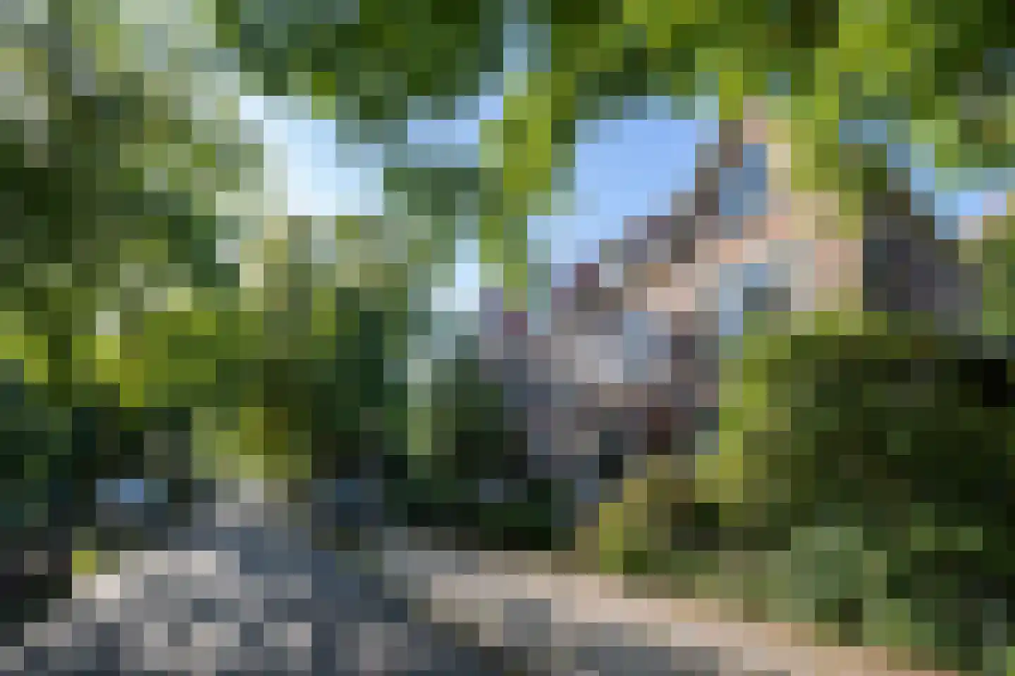 Jhr Strick van Linschotenlaan 3 Zwolle thumbnail 4