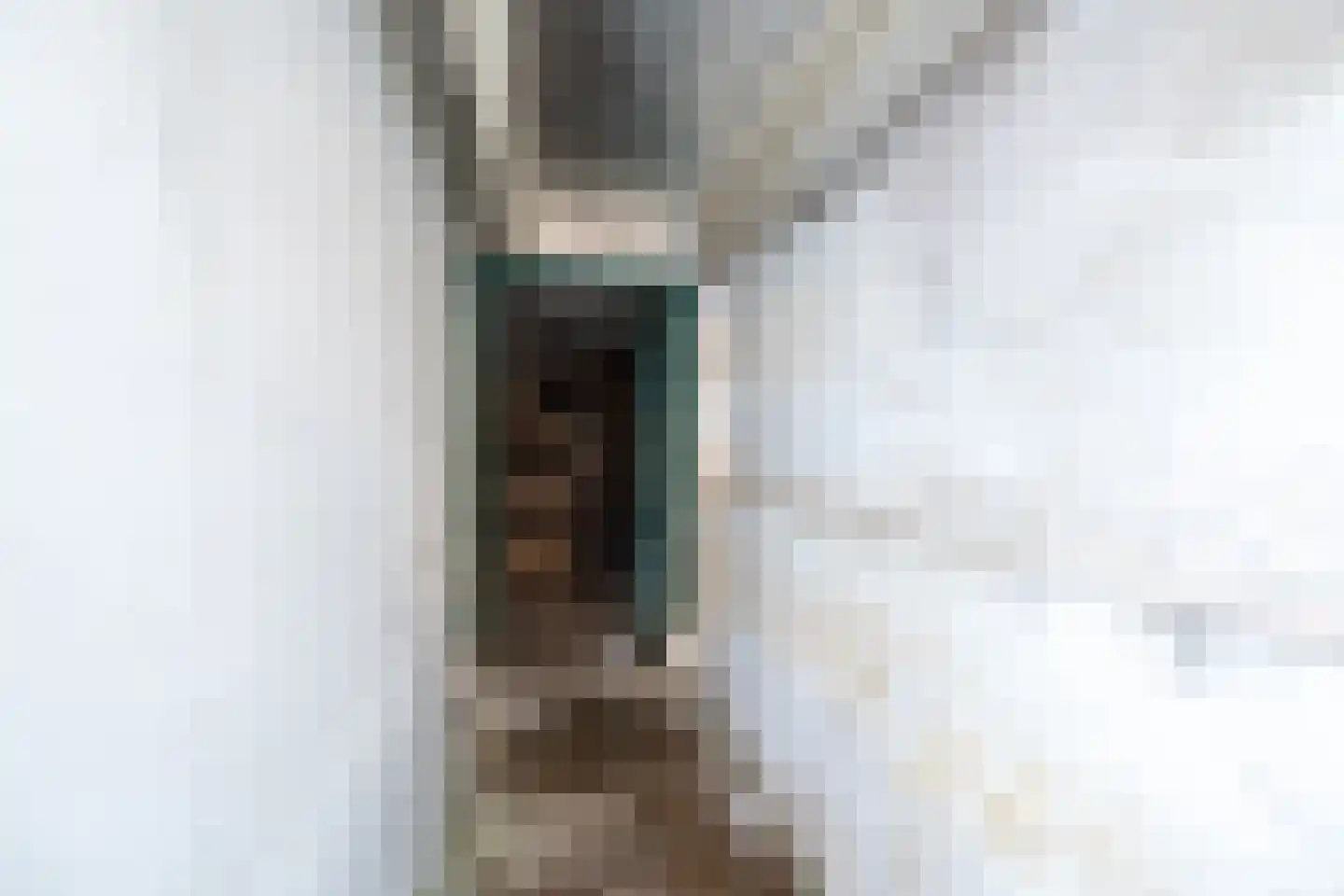 Jhr Strick van Linschotenlaan 3 Zwolle thumbnail 43