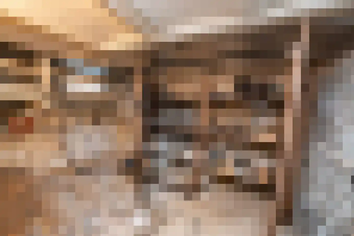 Jhr Strick van Linschotenlaan 3 Zwolle thumbnail 44