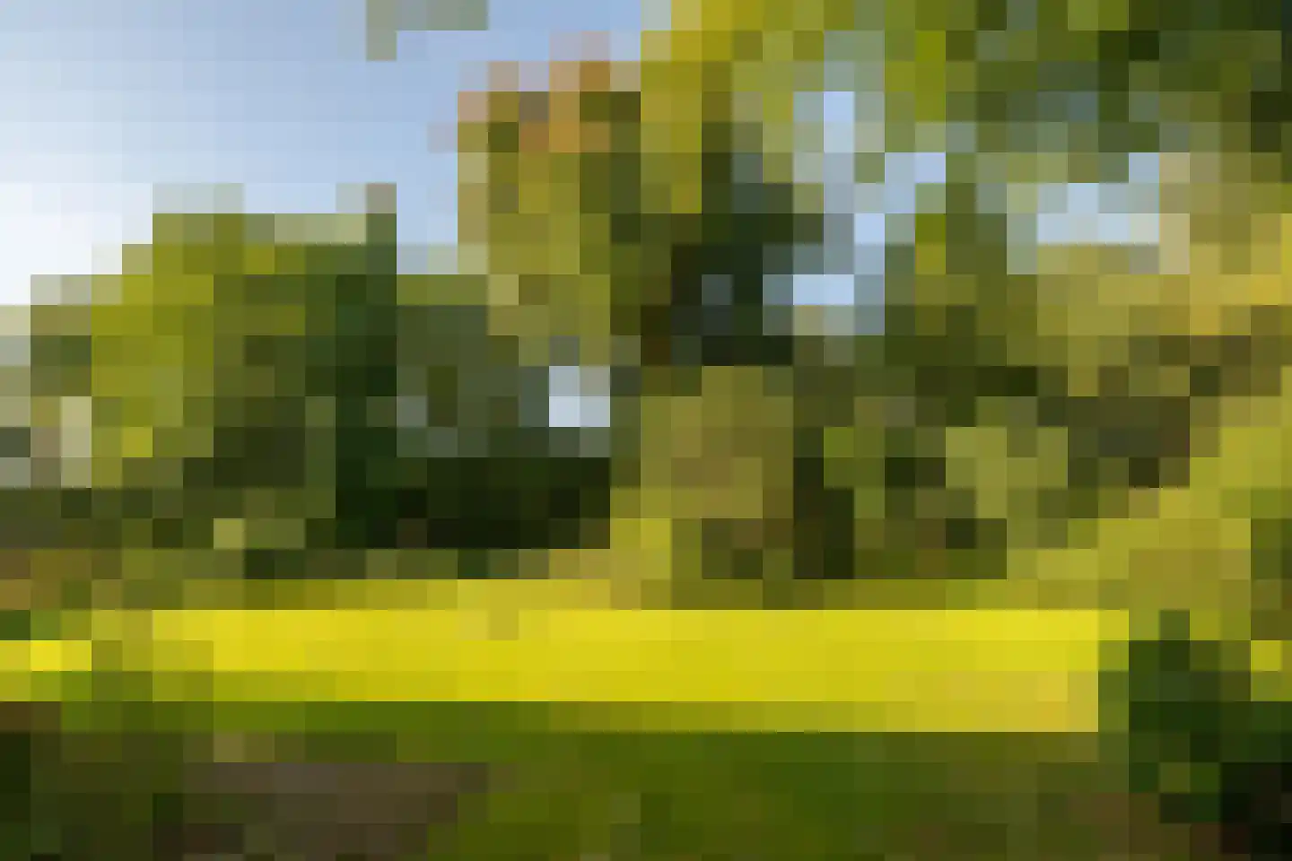 Jhr Strick van Linschotenlaan 3 Zwolle thumbnail 48