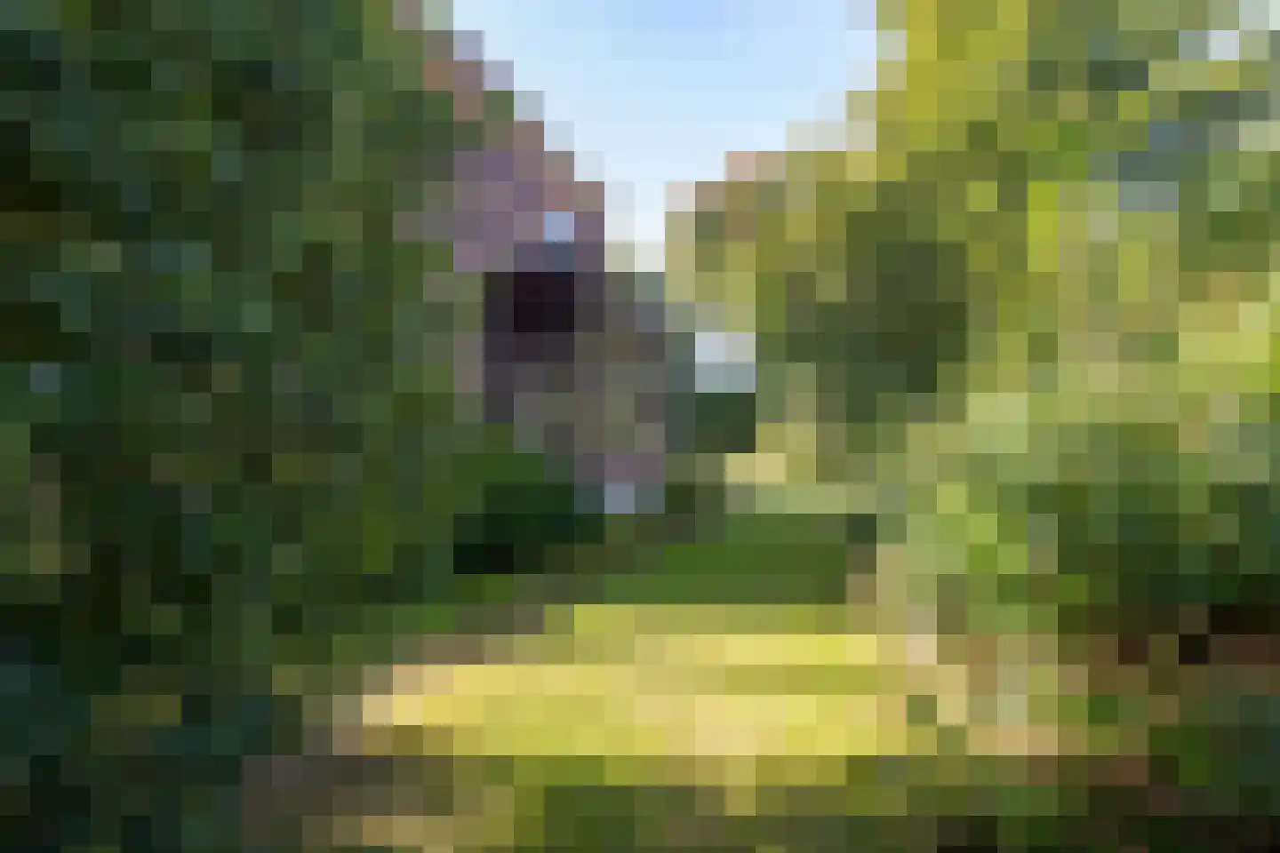 Jhr Strick van Linschotenlaan 3 Zwolle thumbnail 49