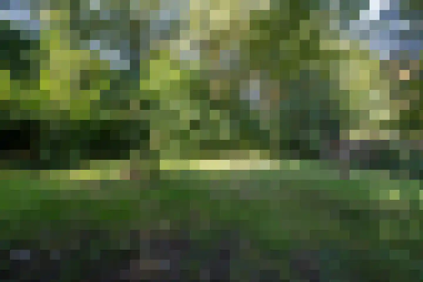 Jhr Strick van Linschotenlaan 3 Zwolle thumbnail 51