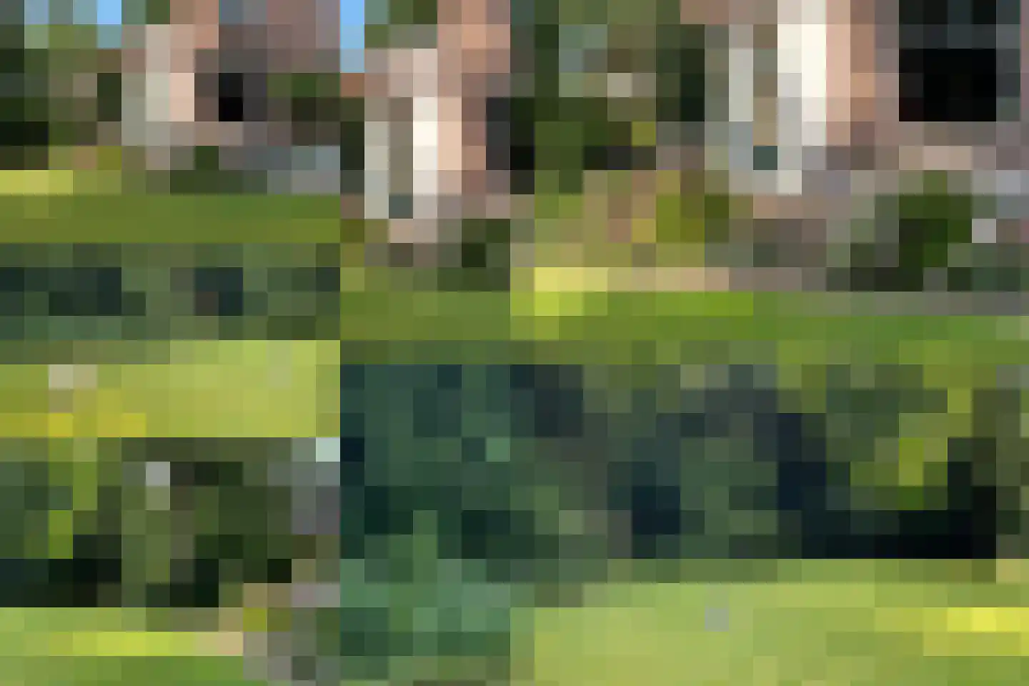 Jhr Strick van Linschotenlaan 3 Zwolle thumbnail 53