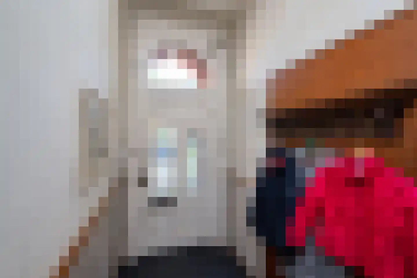 Jhr Strick van Linschotenlaan 3 Zwolle thumbnail 7