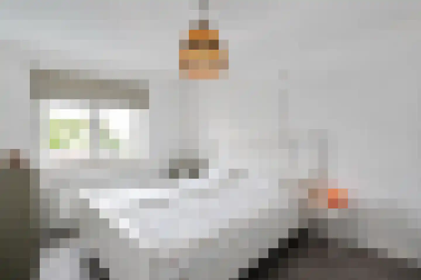 Jhr. v.d. Maesenstraat 30 Hulsberg thumbnail 25