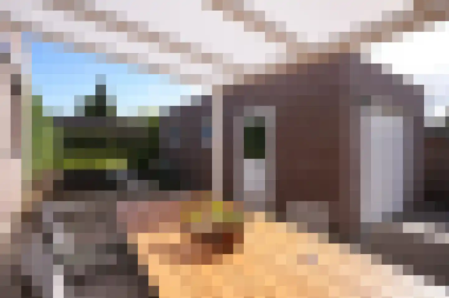 Jhr. v.d. Maesenstraat 30 Hulsberg thumbnail 32