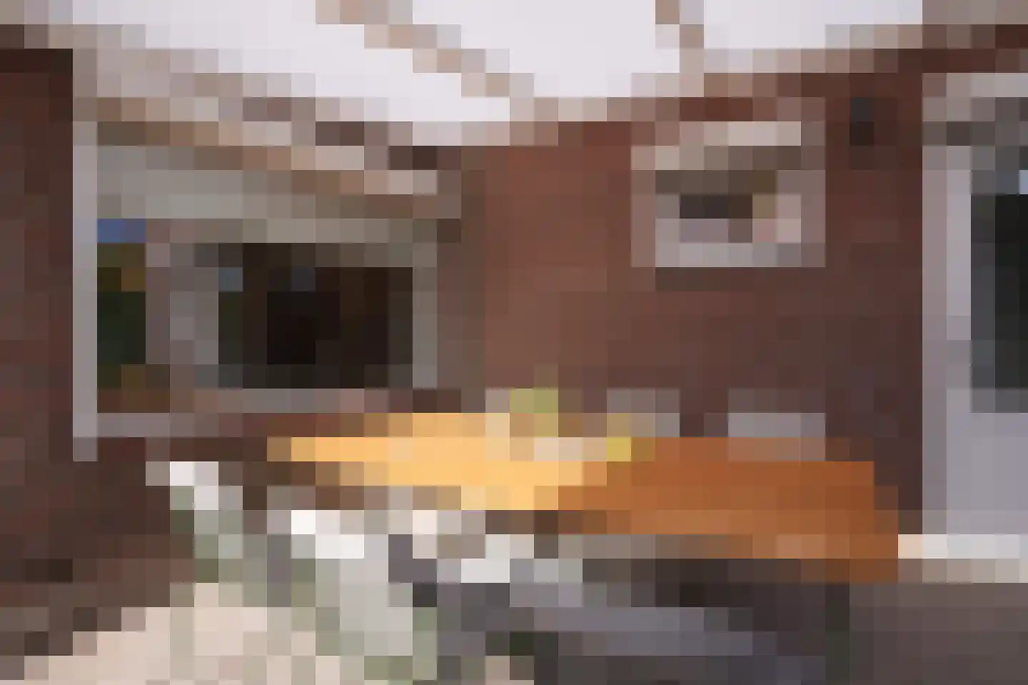 Jhr. v.d. Maesenstraat 30 Hulsberg thumbnail 33