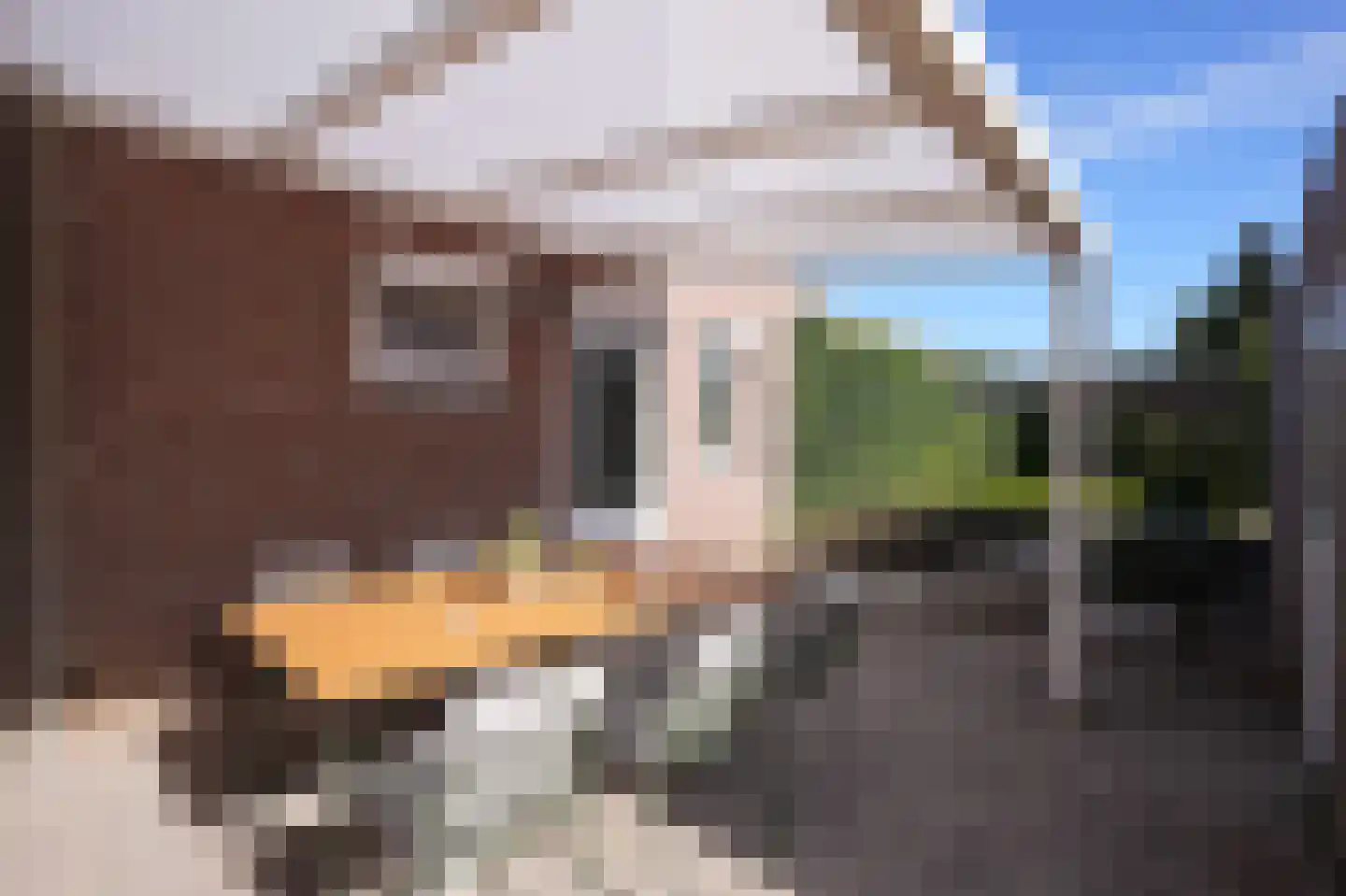 Jhr. v.d. Maesenstraat 30 Hulsberg thumbnail 4