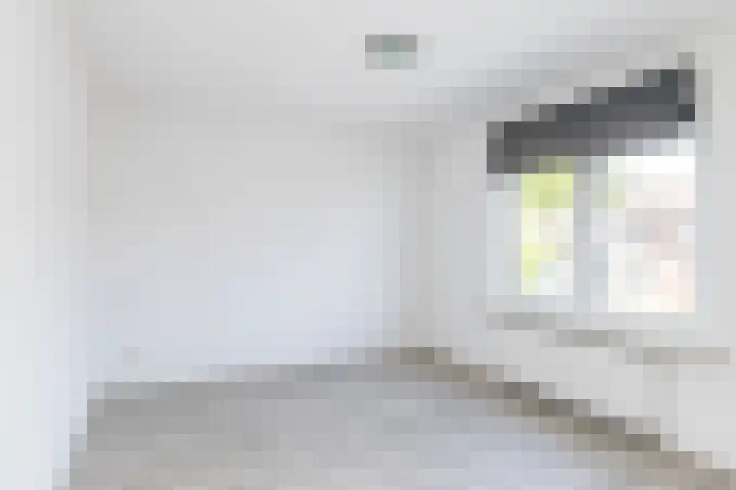 Jhr. v.d. Maesenstraat 43 Hulsberg thumbnail 21