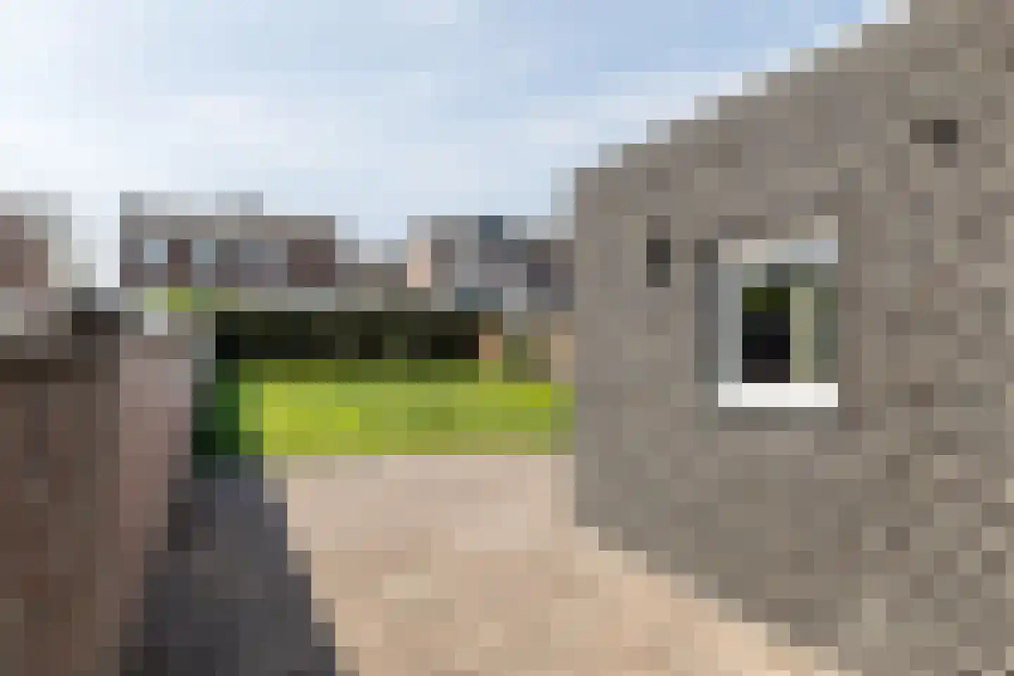 Jhr. v.d. Maesenstraat 43 Hulsberg thumbnail 29
