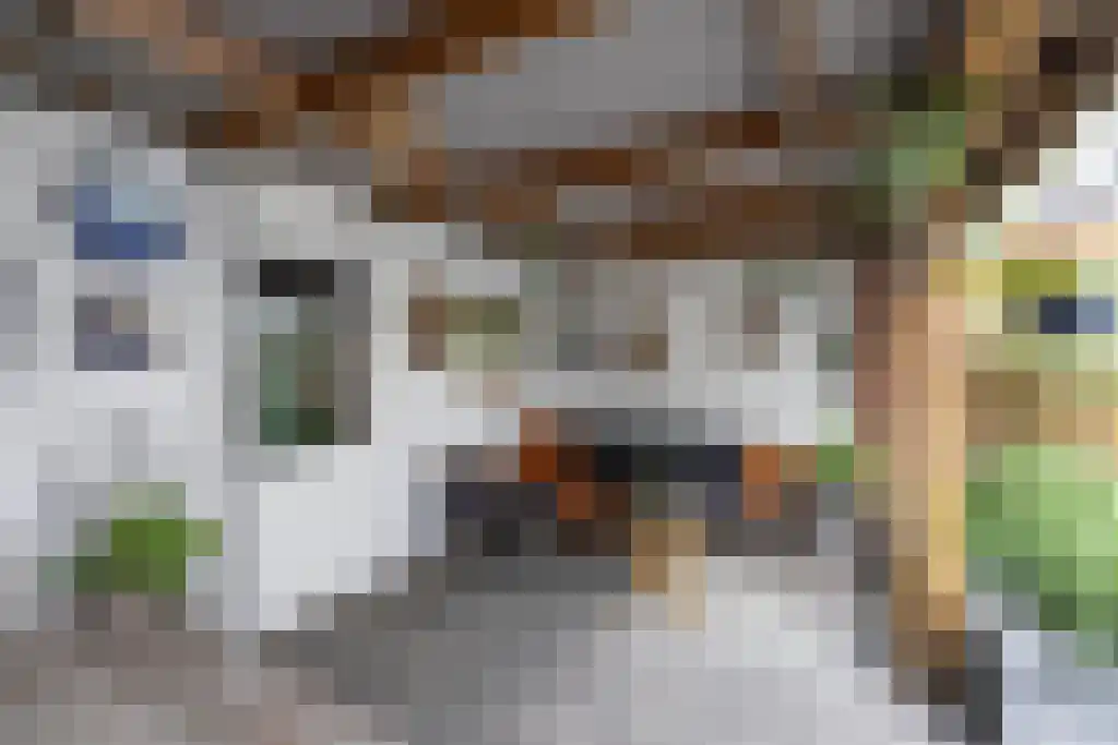 Jhr. van Coeverdenstraat 20 Oldenzaal thumbnail 24