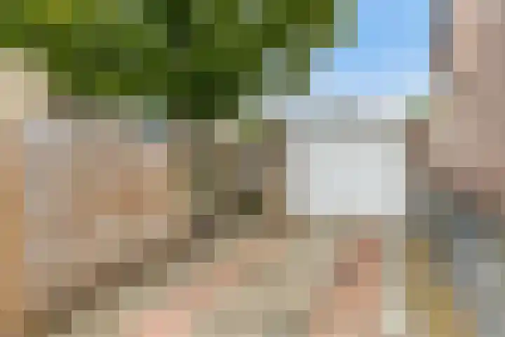 Jhr. van Coeverdenstraat 40 Oldenzaal thumbnail 6