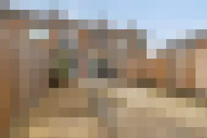 Jhr. van de Wall Repelaerstraat 4 Dordrecht thumbnail 35