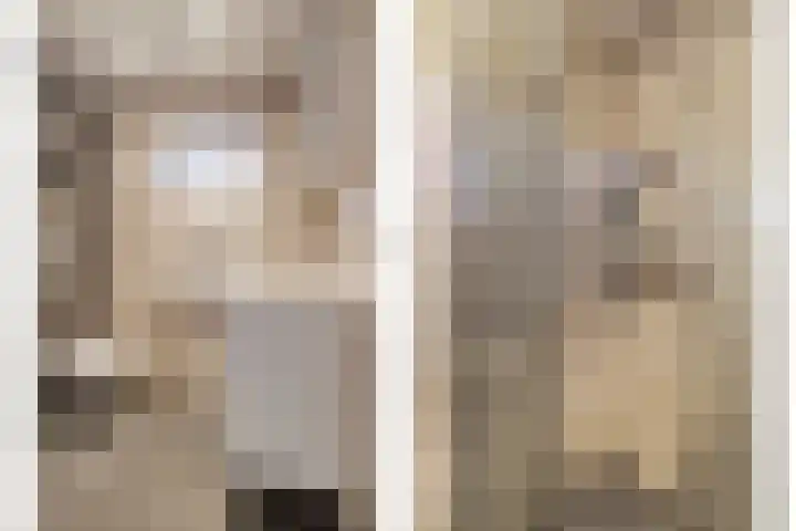 Jhr. van de Wall Repelaerstraat 4 Dordrecht thumbnail 5