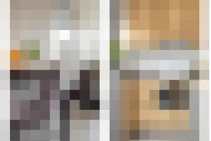 Jhr. van de Wall Repelaerstraat 4 Dordrecht thumbnail 9
