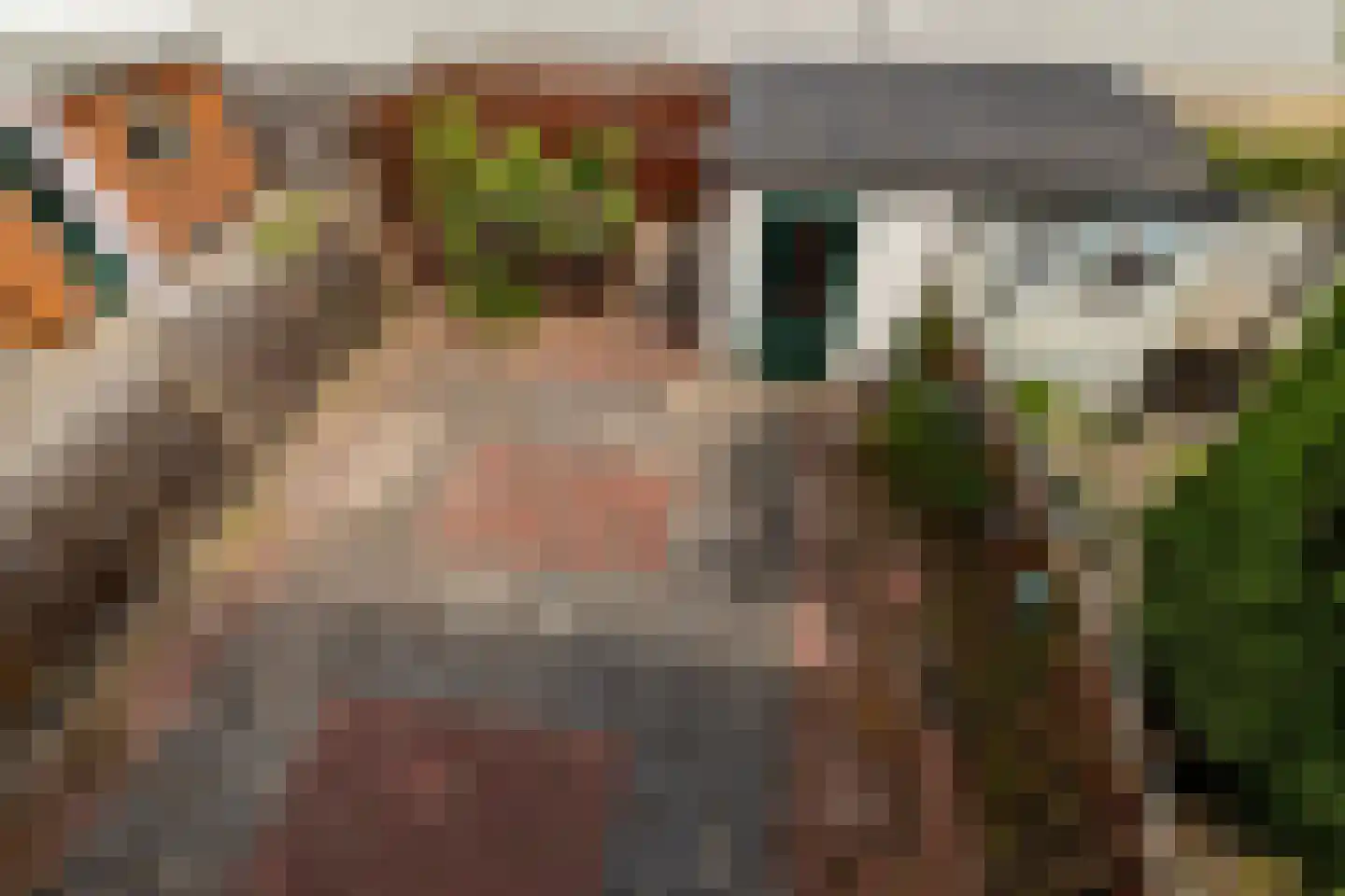 Jhr. van de Wall Repelaerstraat 5 Dordrecht thumbnail 13