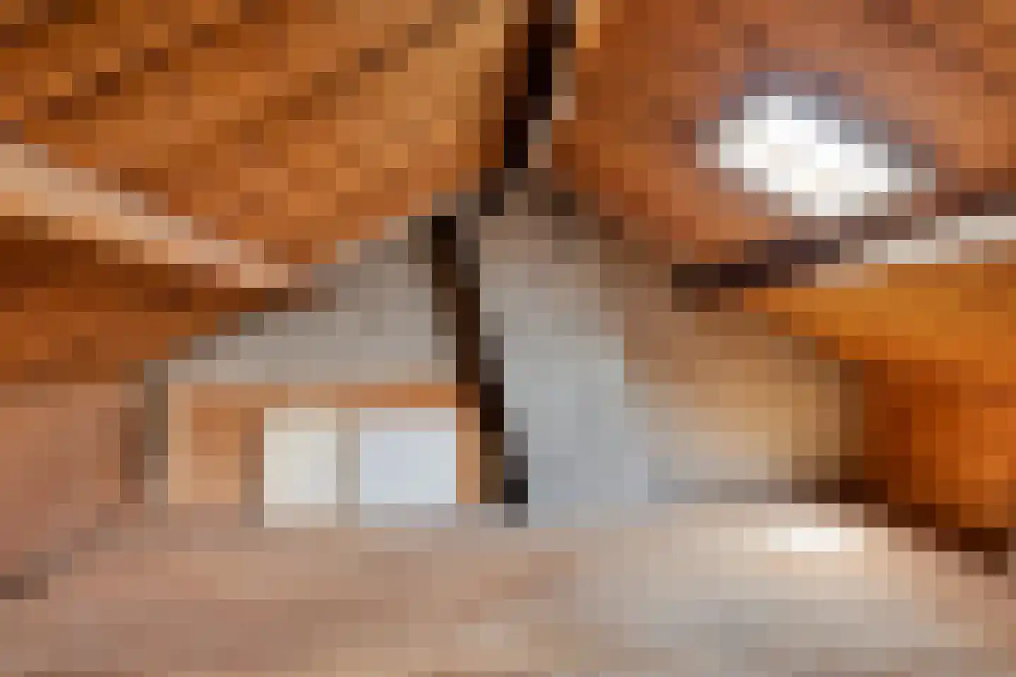 Jhr. van de Wall Repelaerstraat 5 Dordrecht thumbnail 21