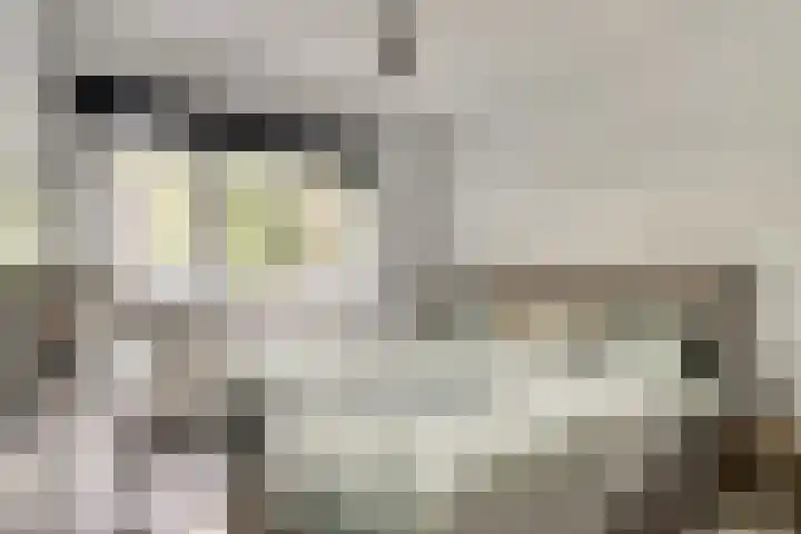 Jhr. Van Karnebeekweg 32 Ridderkerk thumbnail 12