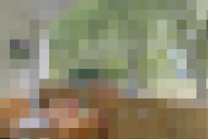 Jhr. Van Karnebeekweg 32 Ridderkerk thumbnail 17